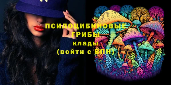 сатива Медногорск