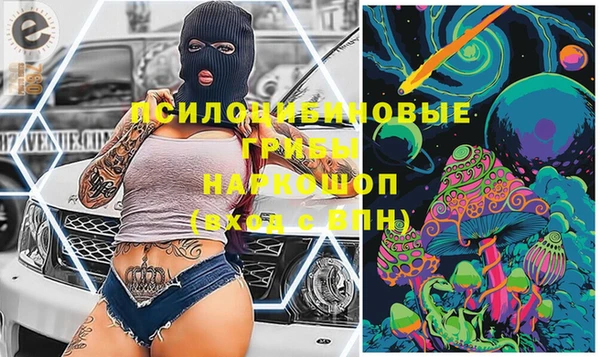 сатива Медногорск