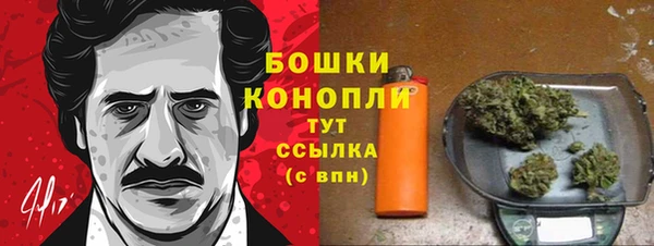 ГАЛЛЮЦИНОГЕННЫЕ ГРИБЫ Медвежьегорск