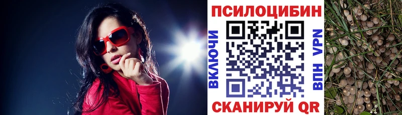 Купить где  Орёл  Галлюциногенные грибы Psilocybe 